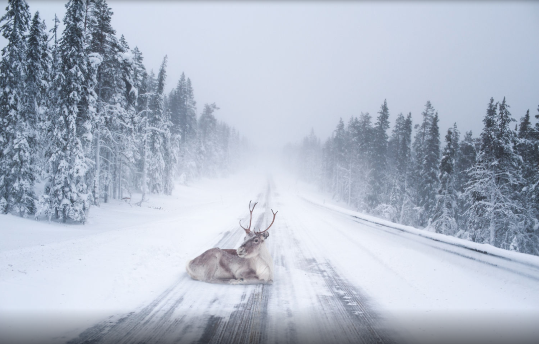 Piękno natury w ujęciu młodego fotografa z Finlandii