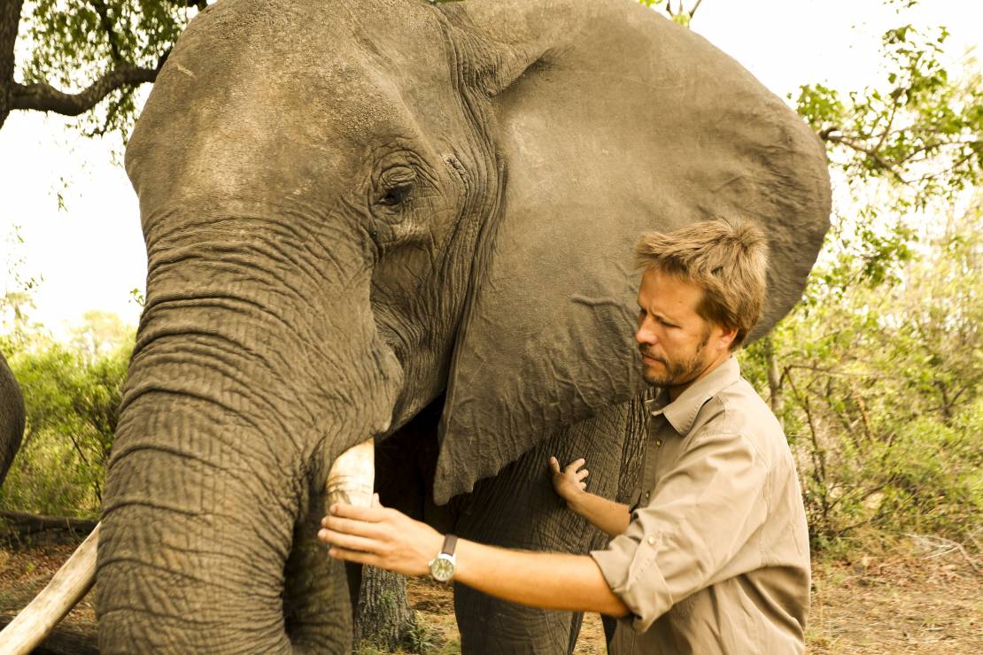 Światowy Dzień Słoni