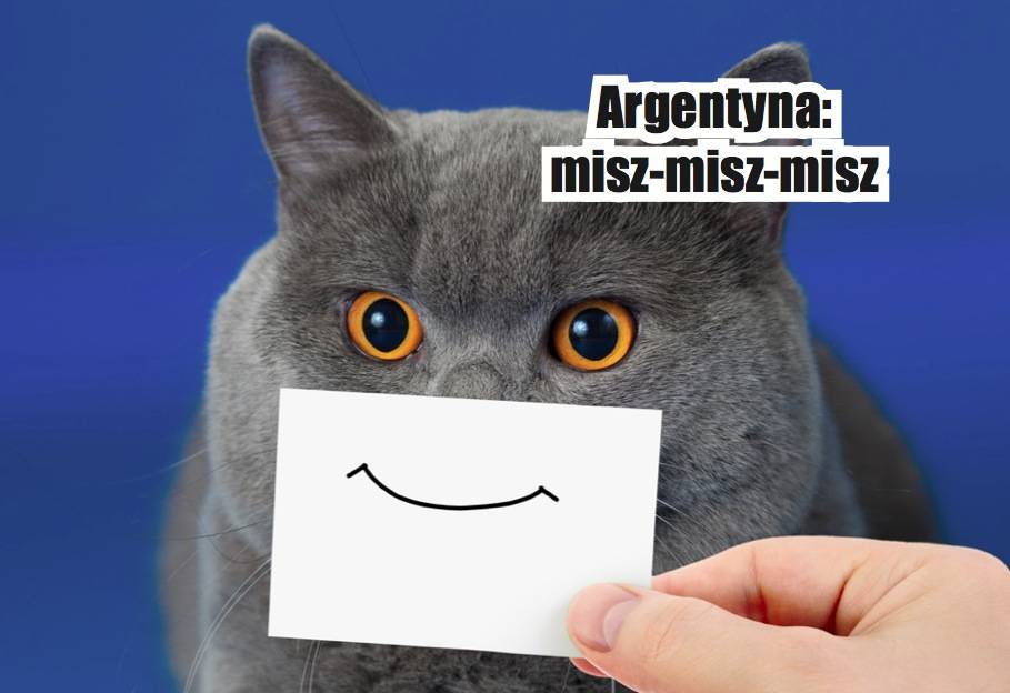 Jak wołać koty w różnych językach? Zdziwisz się i z pewnością nie raz uśmiechniesz