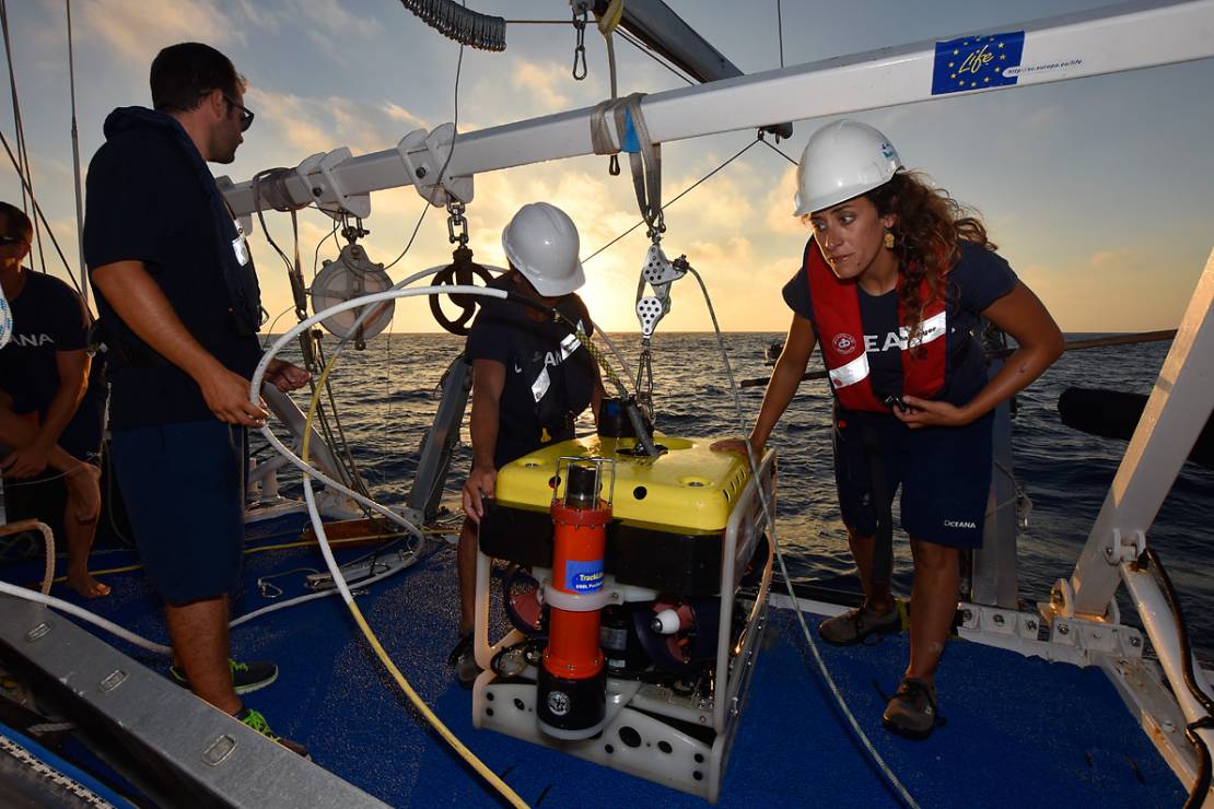 Ekspedycja Oceana - na ratunek maltańskiej przyrodzie
