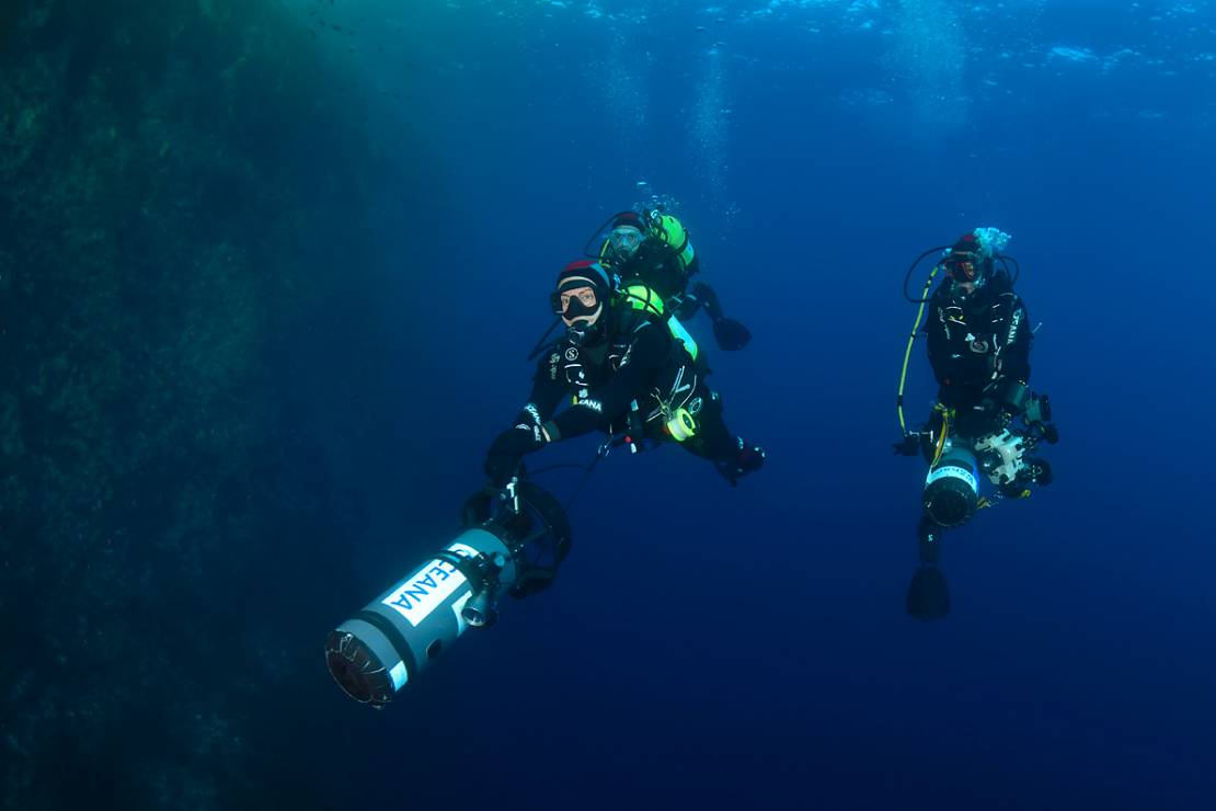 Ekspedycja Oceana - na ratunek maltańskiej przyrodzie