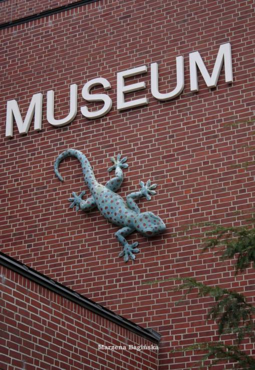 Muzeum Przyrody
