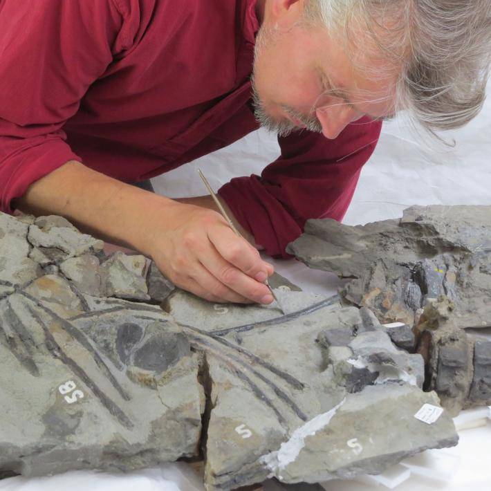 Skameniały potwór odnaleziony w Szkocji. Przy nim Nessie to niewiniątko