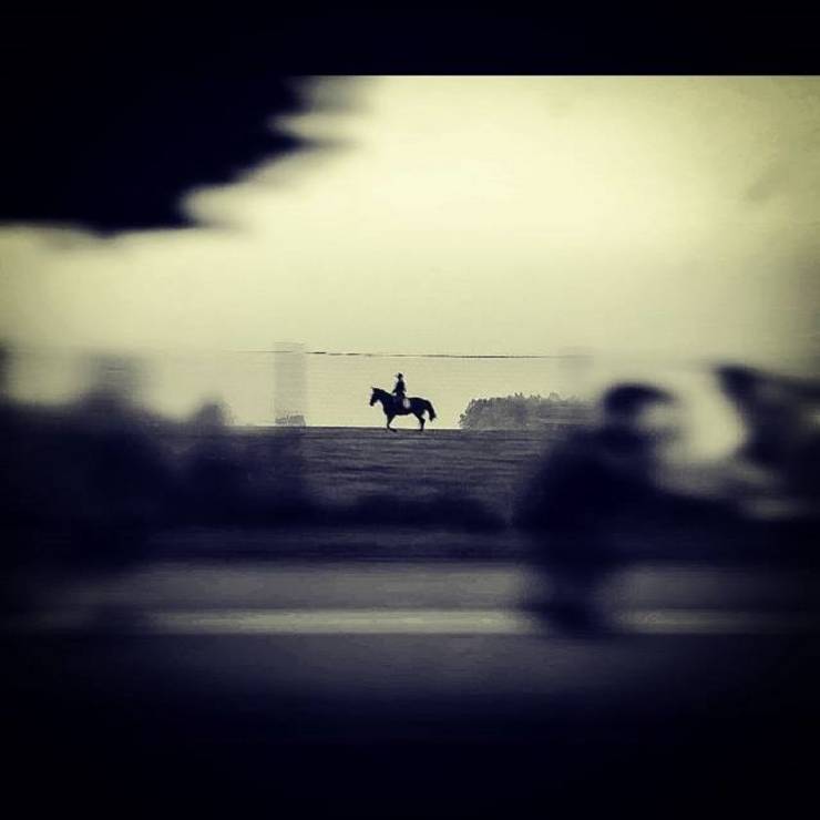 I miejsce „Koń i Człowiek” – Artur Wasilewski