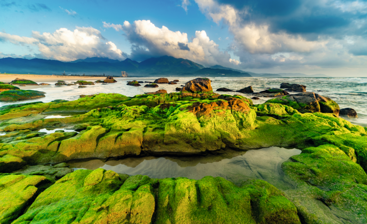 Nam O Beach, 15 km od  miasta Da Nang. Plaża znana jest  z zielonych skał (pokryte są glonami).