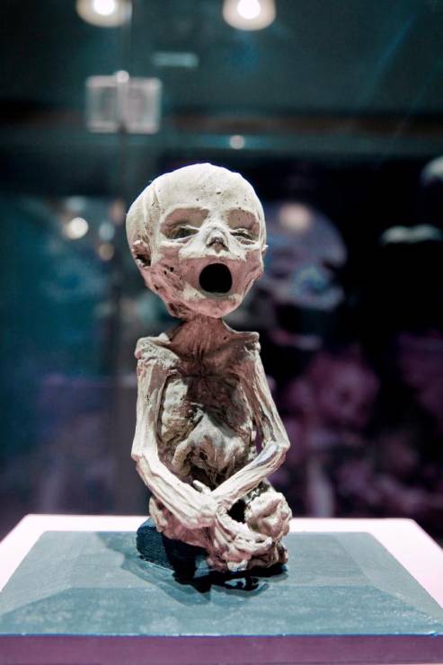 7. Spojrzeć w twarz mumii