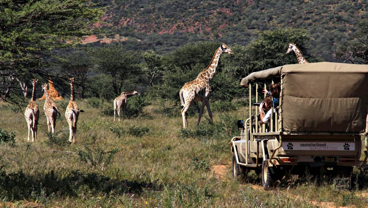 Żyrafy - spełnione marzenie! Make a Change: Africa Camp