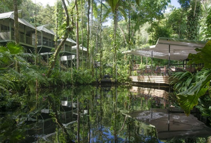 Relaks w lesie deszczowym: Daintree Eco Lodge & Spa - Australia (icena: 4,6 na 5)