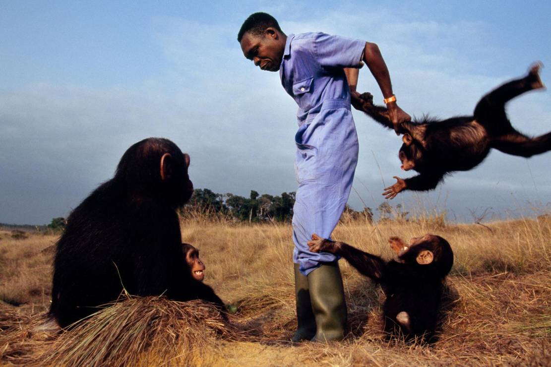 Ludovic Rabasa z szympansimi sierotami