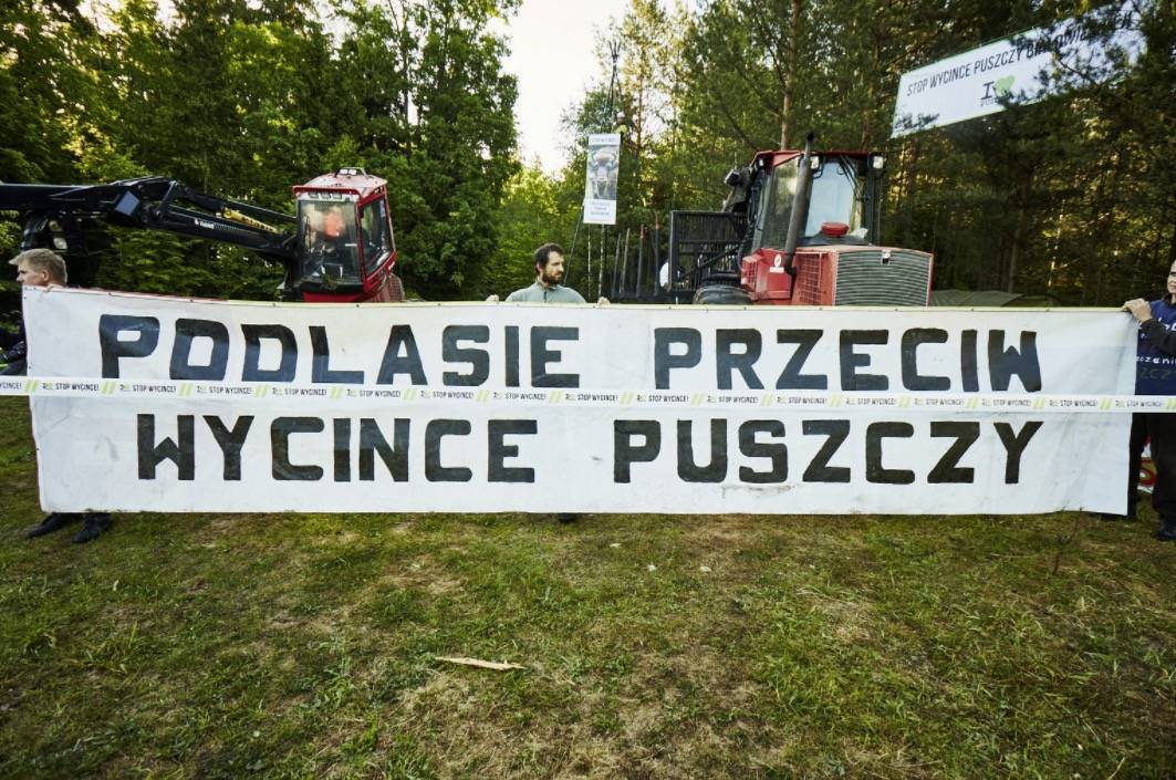 Protest w Puszczy Białowieskiej