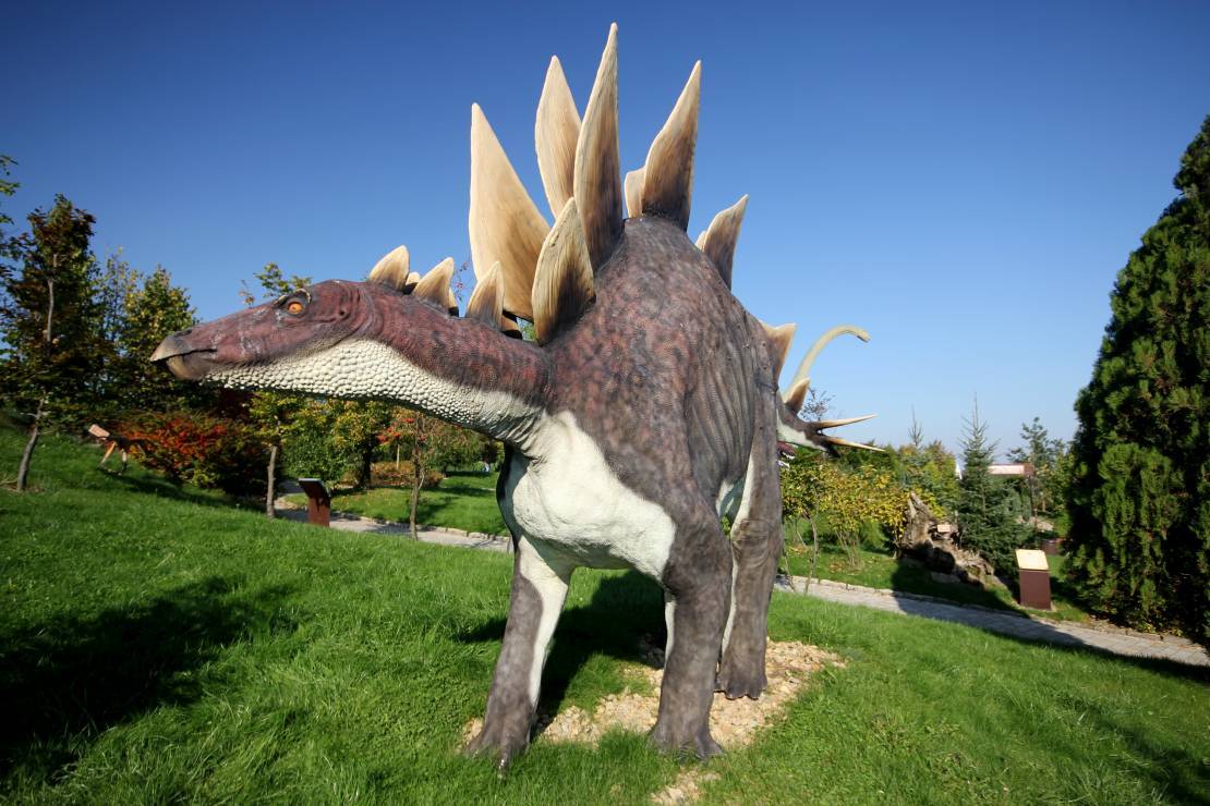 Inwałd park - Park Dinozaurów i Rozrywki Dinolandia, idealne miejsce dla dzieci