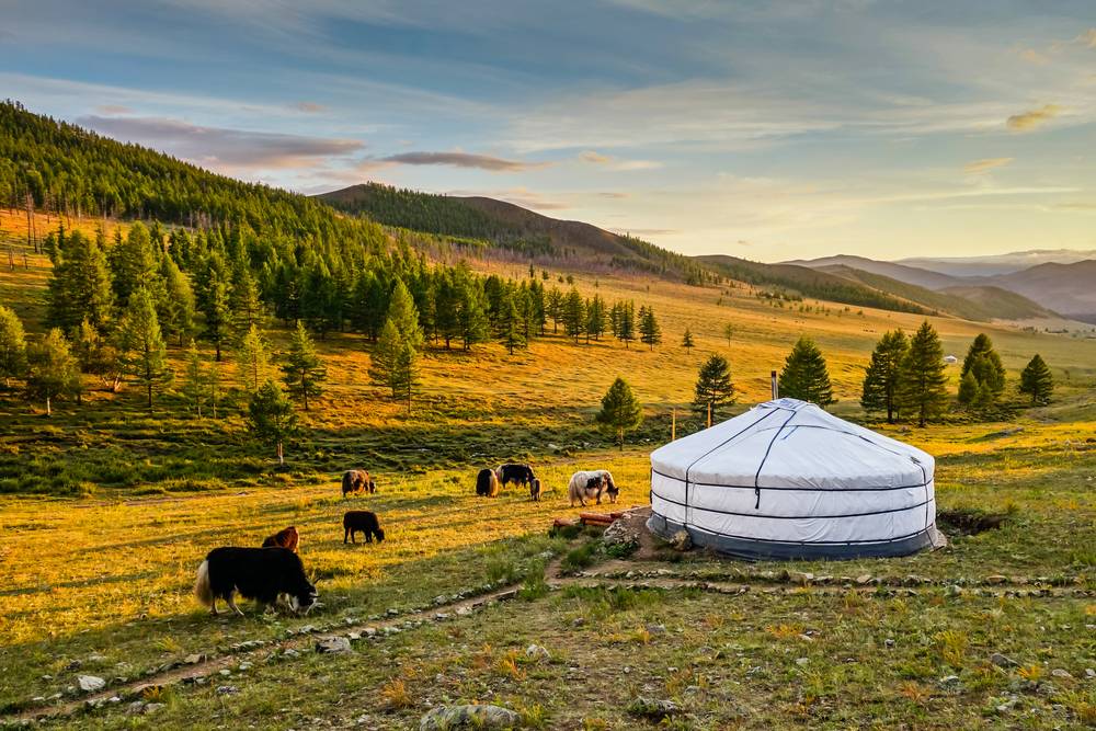 Mongolia: Przestrzenie dla zaprawionych w boju
