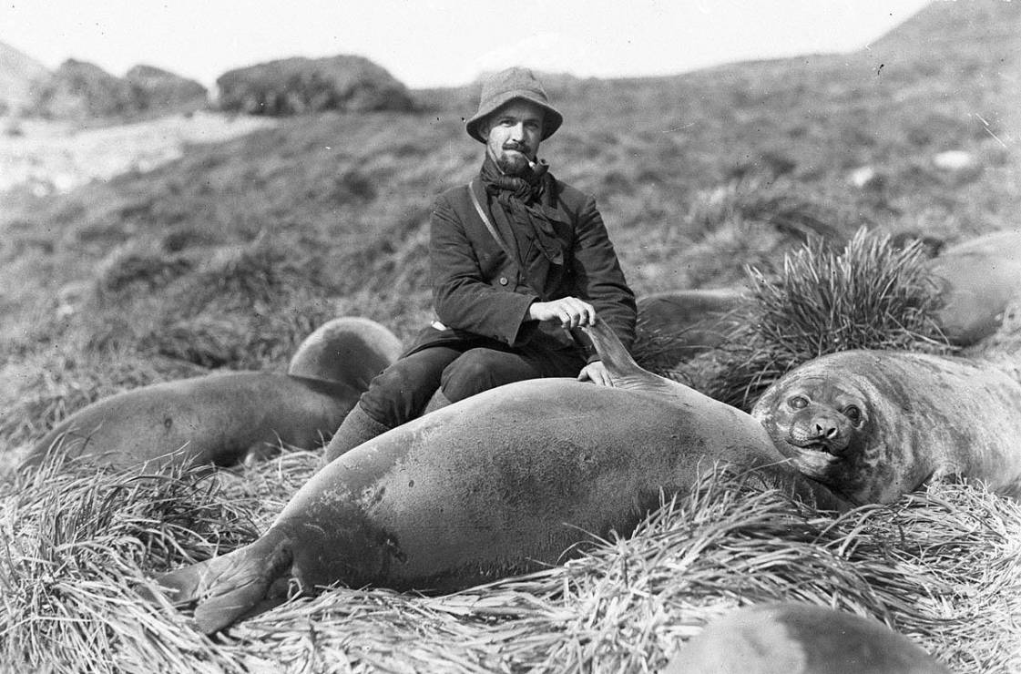 Arthur Sawyer i szczeniaczek słonia morskiego
