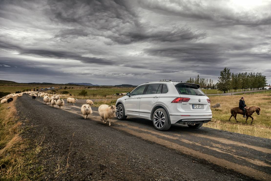 VW na Islandii