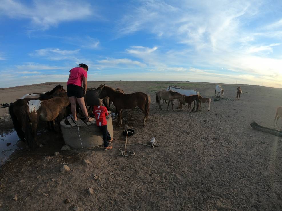Mongolia. Brak wody zmuszał nas do czerpania wody ze źródeł dla koni