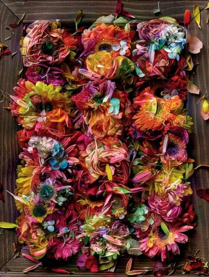 Farby i rekwizyty pomagają Morellowi tworzyć kompozycje kwiatowe, które przywołują słynne obrazy i style artystyczne przefiltrowane przez jego wyobraźnię.