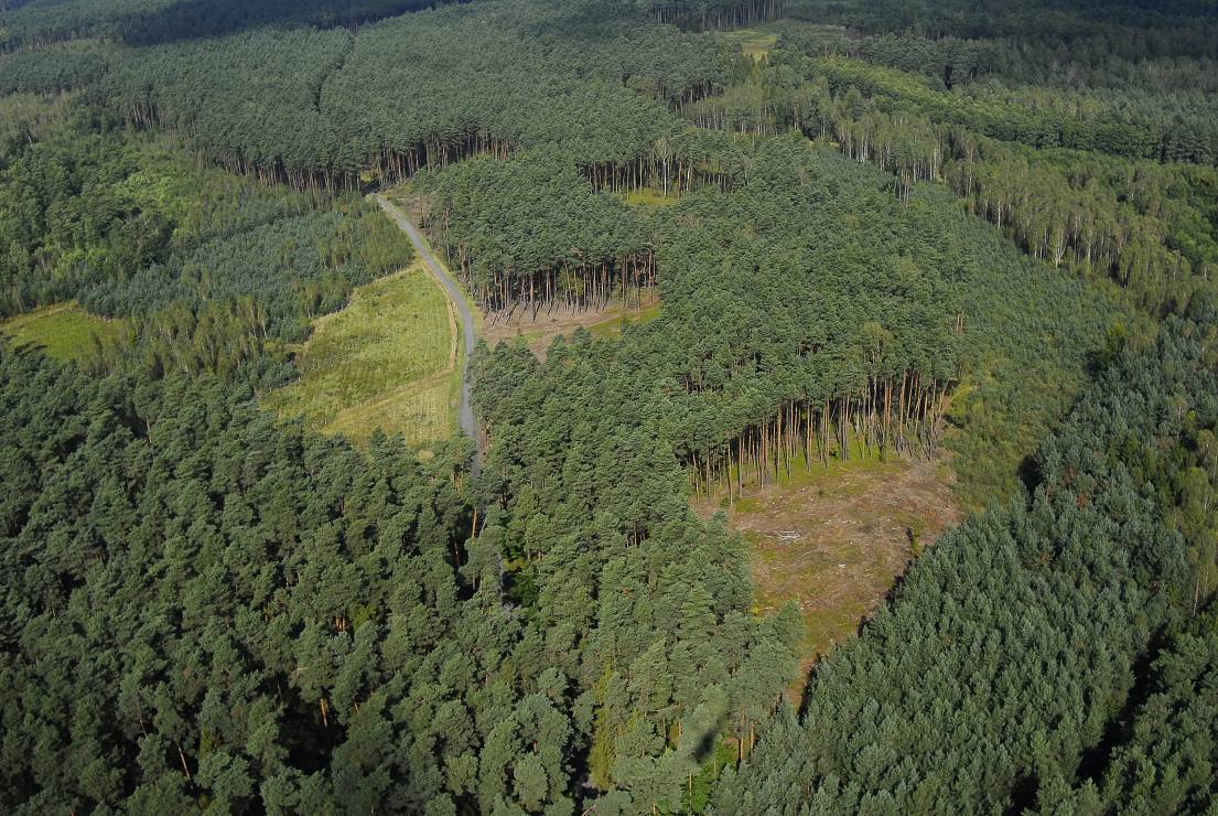 5.	W dzisiejszej gospodarce leśnej powierzchnie, z których pozyskuje się drewno są bardzo małe. W każdym lesie gospodarczym współistnieją fragmenty w różnym wieku i fazie rozwoju: od uprawy i młodnika po dojrzały las.