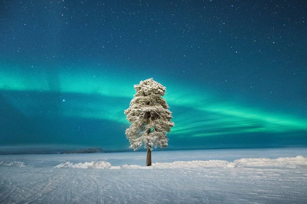 Drugie miejsce w kategorii Zorza Polarna: Lone Tree under a Scandinavian Aurora (Samotne drzewo pod skandynawską zorzą) / Tom Archer (Wielka Brytania)