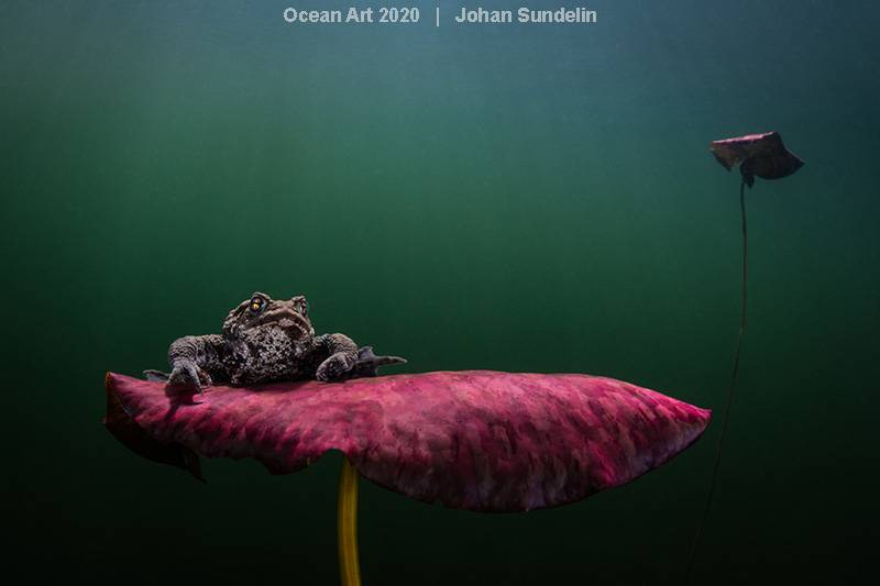 Ocean Art Photo 2020
