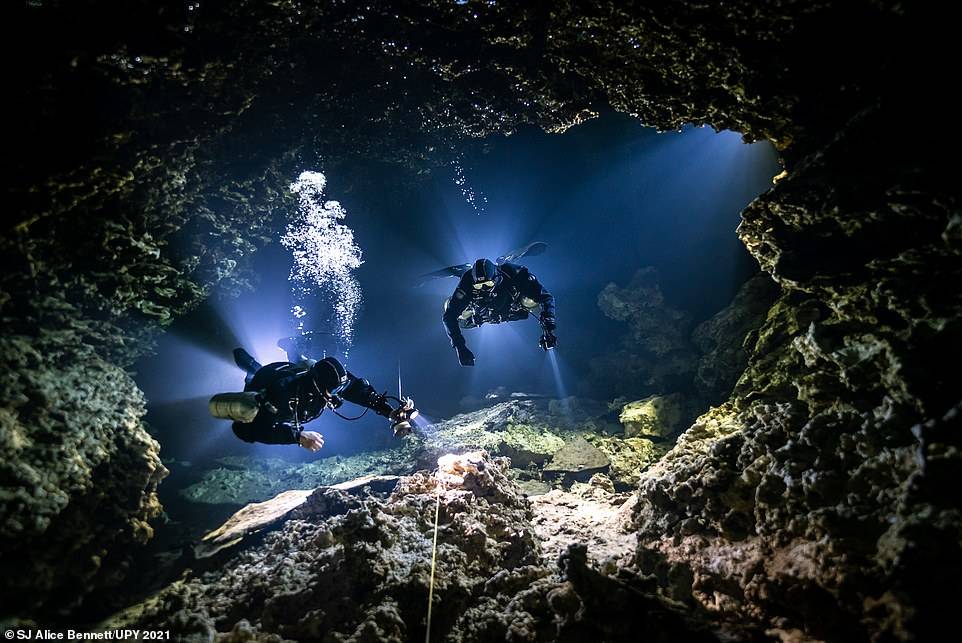 Underwater Photographer of the Year 2021