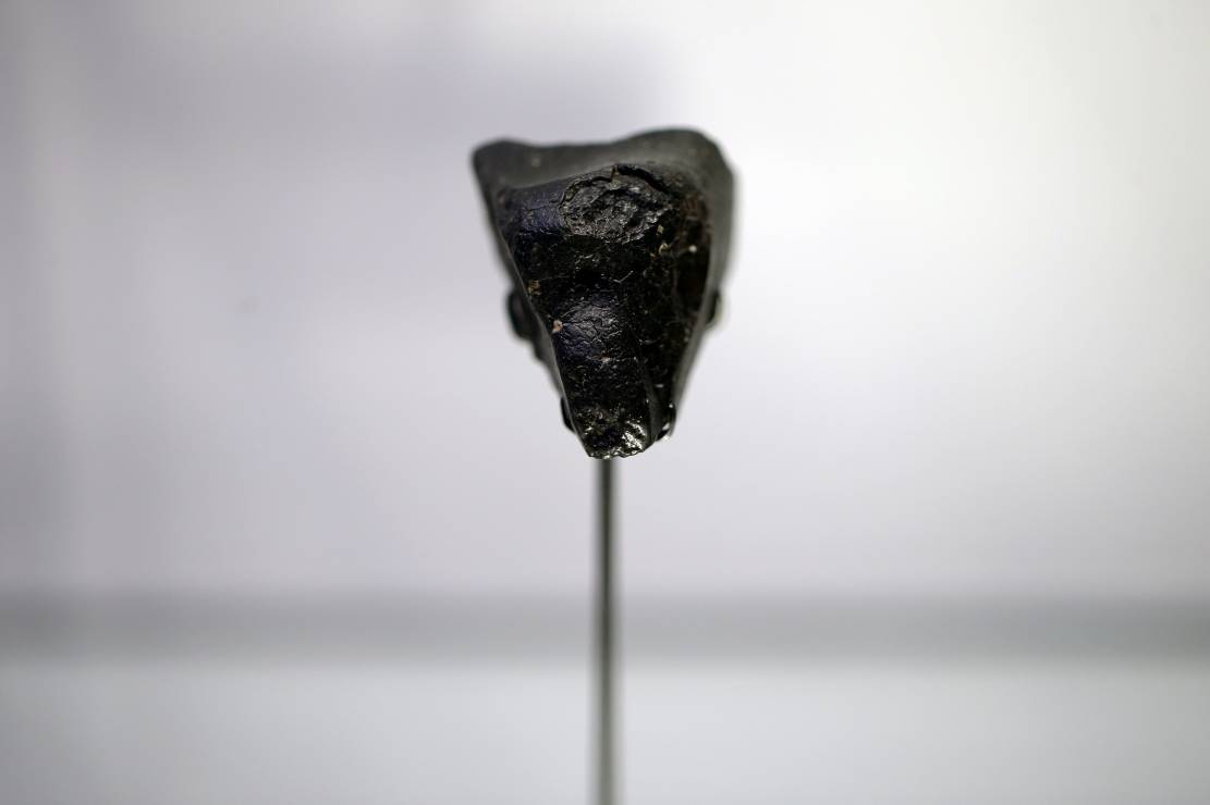 Życie na Marsie. Meteoryt „Czarna piękność” w końcu daje odpowiedzi na wiele pytań
