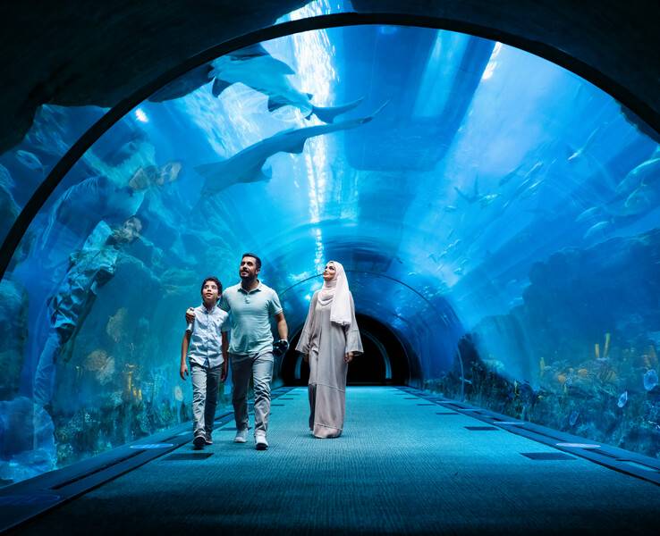 Niezwykłe morskie życie w akwarium Dubai Mall za darmo