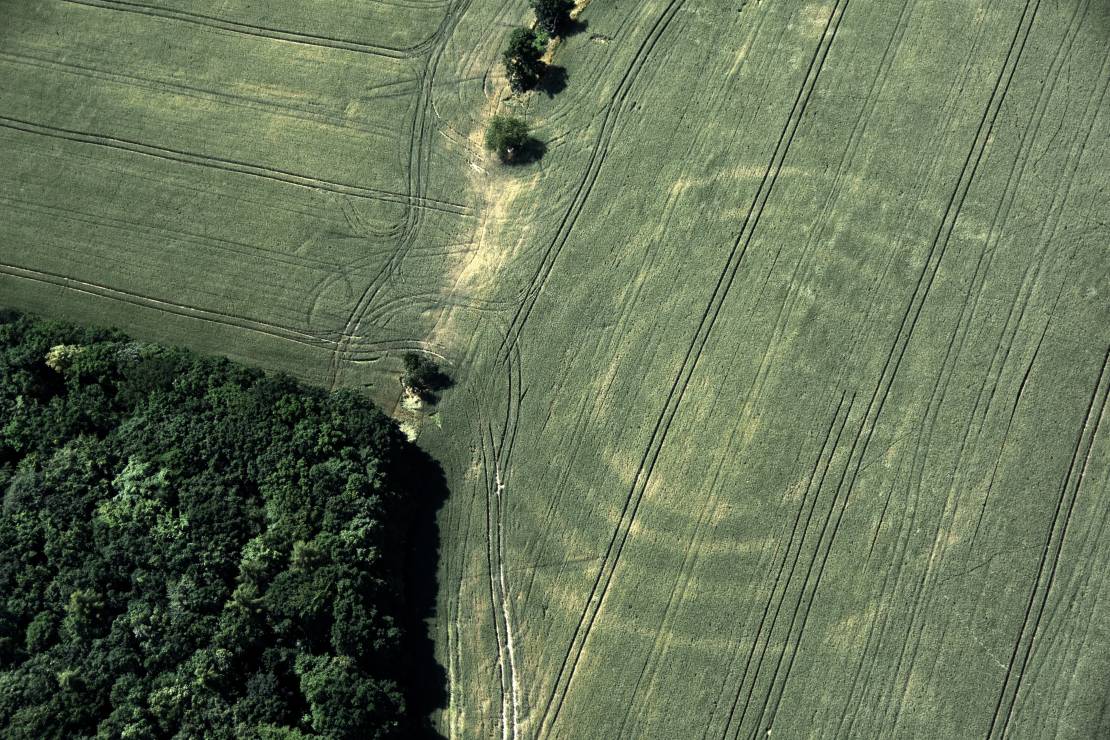 7 najlepszych zdjęć „polskich Stonehenge”. Olbrzymie konstrukcje sprzed 7 tys. lat z lotu ptaka [GALERIA]
