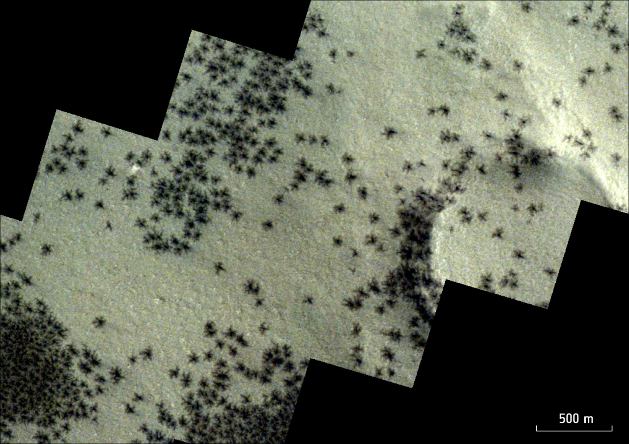 Martian spiders in the Inca city.  Wonderful images recorded by Mars orbital cameras