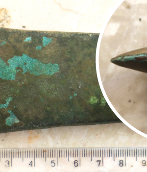 Dar dla bóstwa czy drogie narzędzie? Miedziana siekierka odkryta przez detektorystę ma 6 tys. lat