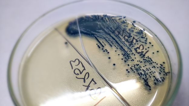 „Obcy” 400 km od Ziemi. Stację kosmiczną zasiedlają kolonie mikrobów nieznanych na naszej planecie (fot. Shutterstock)