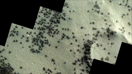 Marsjańskie pająki w Mieście Inków. Fascynujące obrazy zarejestrowane przez kamery orbiterów marsjańskich (fot. ESA/TGO/CaSSIS, CC BY-SA 3.0 IGO)