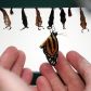 Czy teoria dotycząca efektu motyla nosi w sobie choć ziarno naukowej prawdy? (Photo by Carl Court/Getty Images)