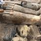 Odkryto 13 drewnianych sarkofagów stojących jeden na drugim (fot. Ministry of Tourism and Antiquities)