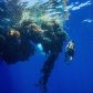 ocean-jak-wielki-zlew-dla-mikroplastiku-miliony-ton-opadly-na-dno