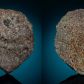 dwa-fragmenty-ec-002-glowna-czesc-meteorytu-znajduje-sie-w-maine-mineral-and-gem-museum-fot-maine-mineral-and-gem-museum-darryl-pitt