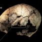 czaszka-sprzed-5300-lat