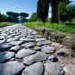 Drogi rzymskie - kto je budował i gdzie można zobaczyć starożytne drogi? (fot. Claudio Ciabochi/Education Images/Universal Images Group via Getty Images)