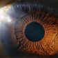 Śmierć jest odwracalna? Naukowcy sprawili, że ludzkie oko wykazywało aktywność pięć godzin po zgonie (fot. Getty Images)