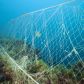 Rybackie sieci widma, które zostają zgubione w oceanach tylko w ciągu roku, mogą opleść Ziemię 18 razy (fot. Getty Images)