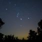 Jumbosy zaobserwowano w gwiazdozbiorze Oriona