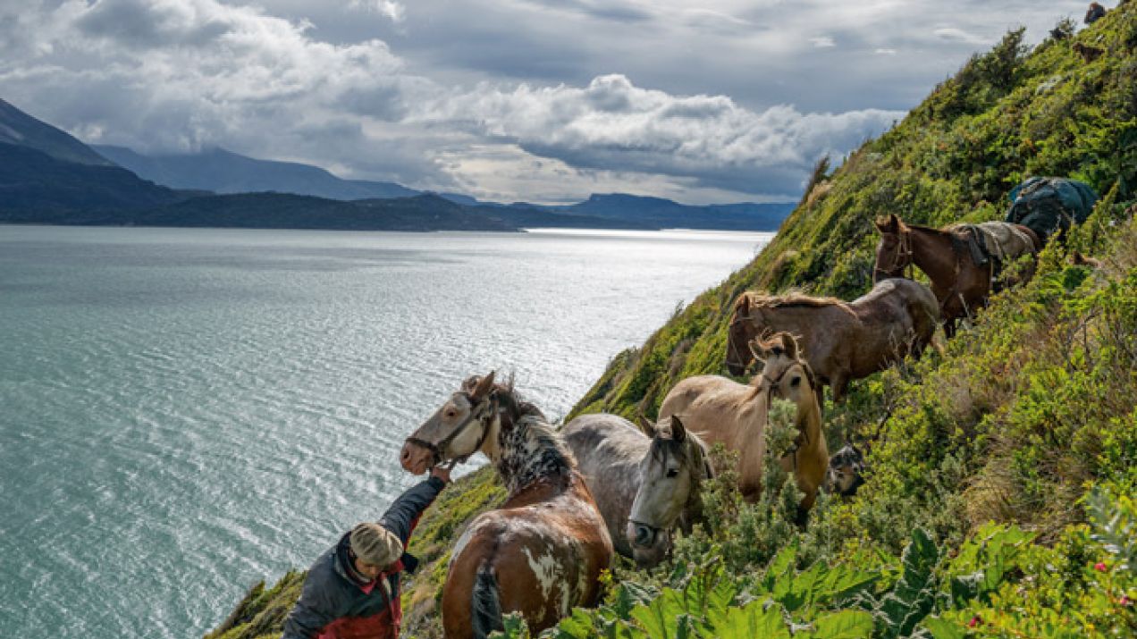 13-coaxing-horses-along-steep-cliffs-670