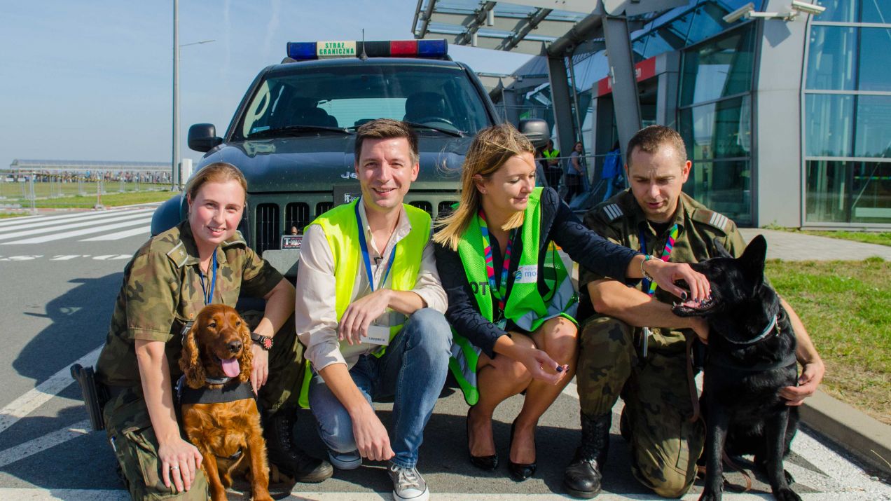Psy straż graniczna lotnisko