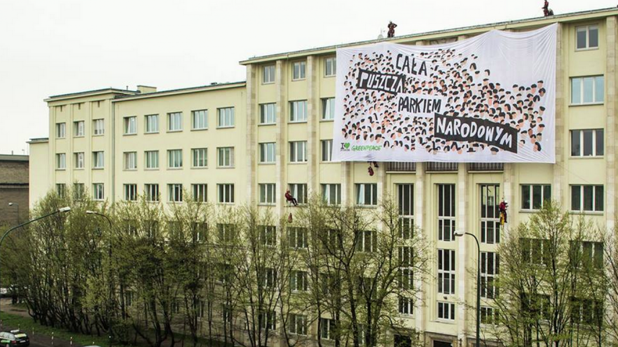 Puszcza białowieska greenpeace