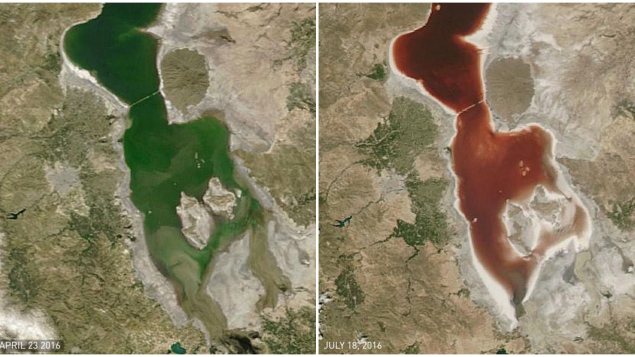 Było zielone, jest czerwone jak krew. Co się stało z jeziorem Urmia?