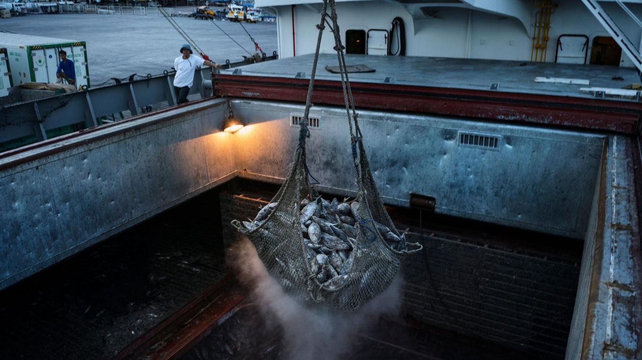 Pracownicy portowi używają żurawi do rozładunku zamrożonych tuńczyków z chińskiego statku towarowego w porcie rybackim General Santos na Filipinach.