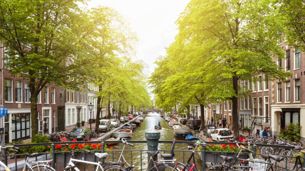 1. Rzut oka na ulicę i już wiadomo, że jeśli tyle rowerów, to musi być Amsterdam fot. Getty Images