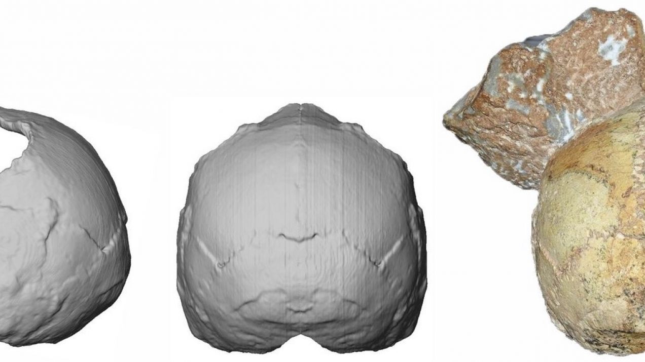 Ta tajemniczna czaszka z Grecji może zmienić to jak patrzymy na historię ludzkości