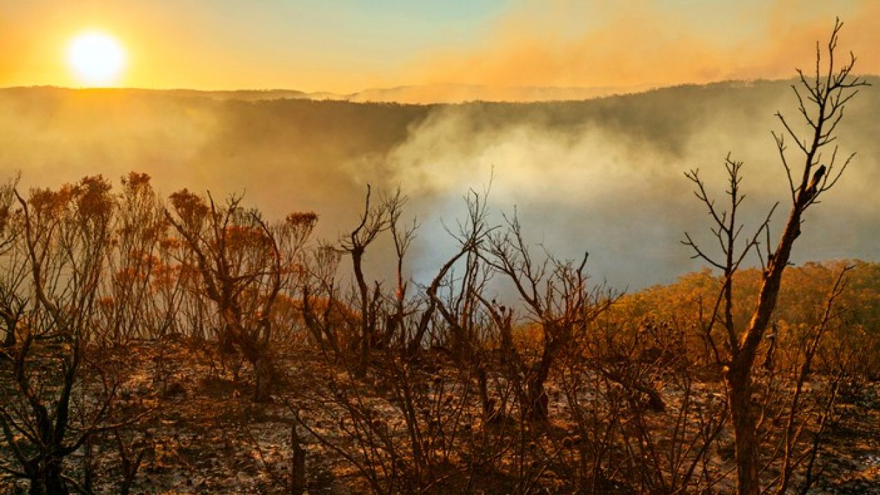 Pożary w Australii mogą wpłynąć na zmiany klimatyczne na całym świecie (fot. Getty Images)