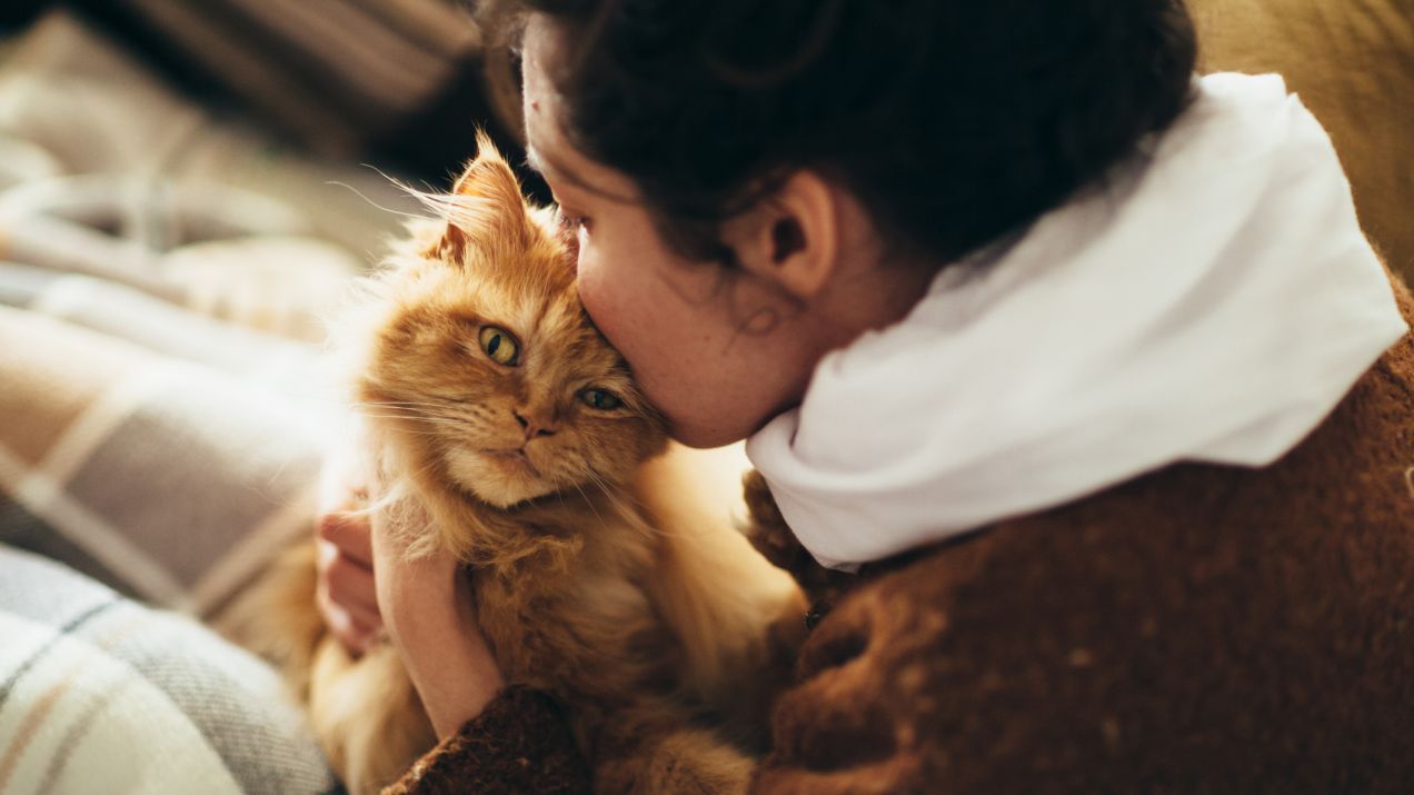 Koty tworzą z człowiekiem silną więź (fot. Getty Images)