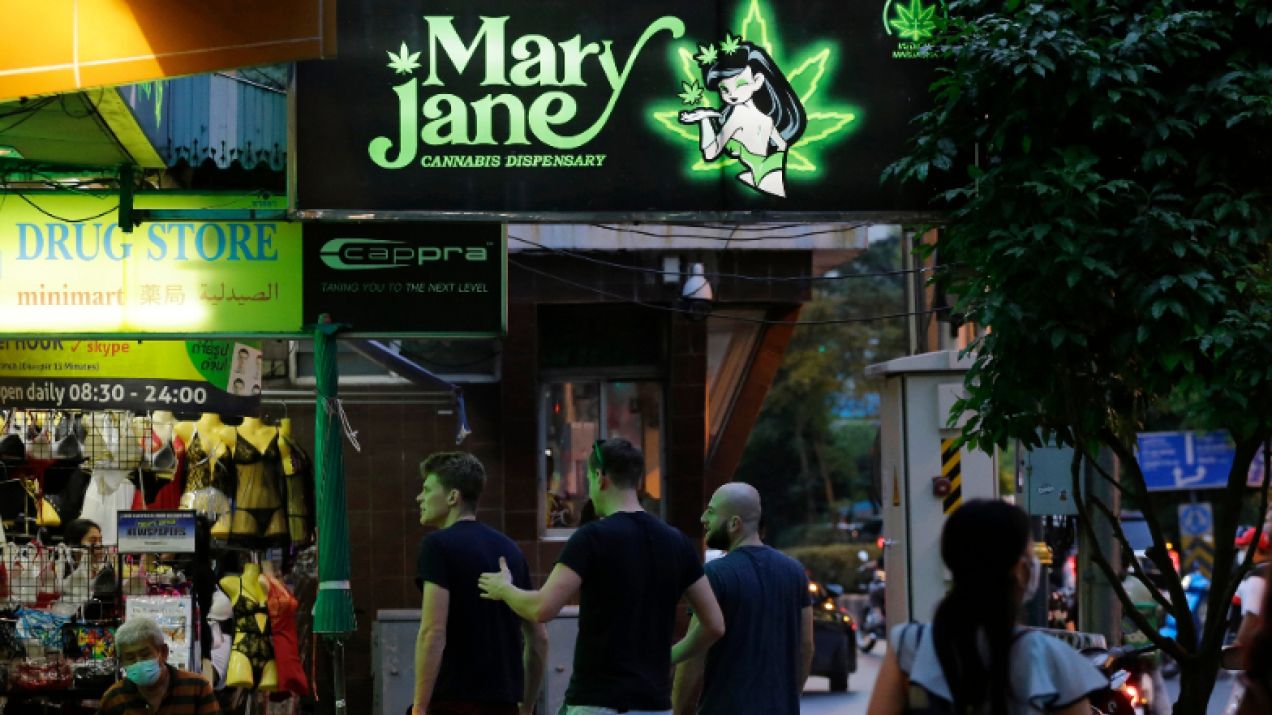 Niecałe dwa lat temu Tajlandia zalegalizowała marihuanę / fot. Shutterstock
